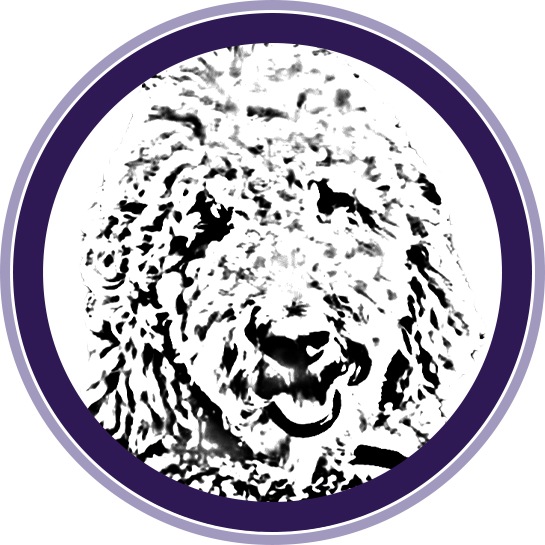 Professional Dog Grooming